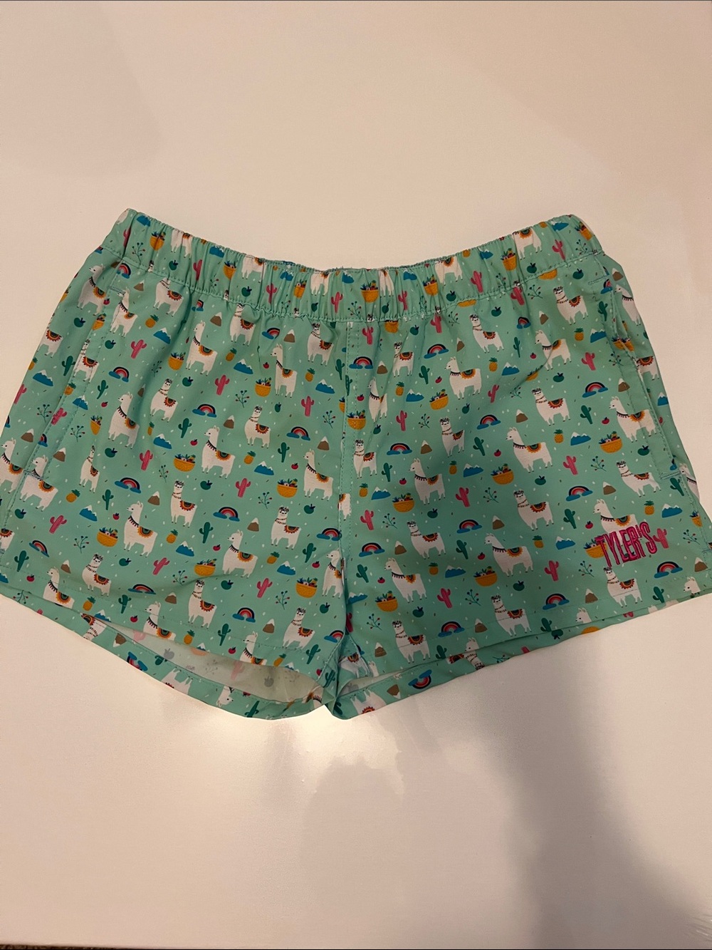 Aqua Llama Print Athletic Shorts with Elastic Waist (short)